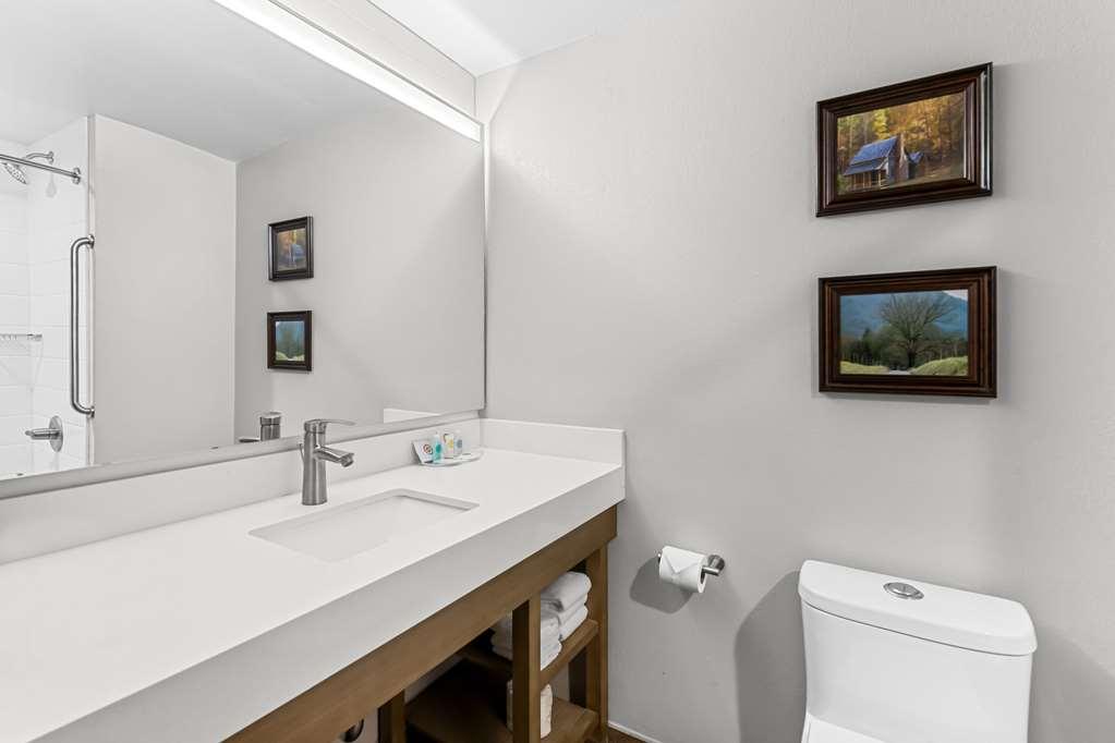 Comfort Suites Columbia Rum bild